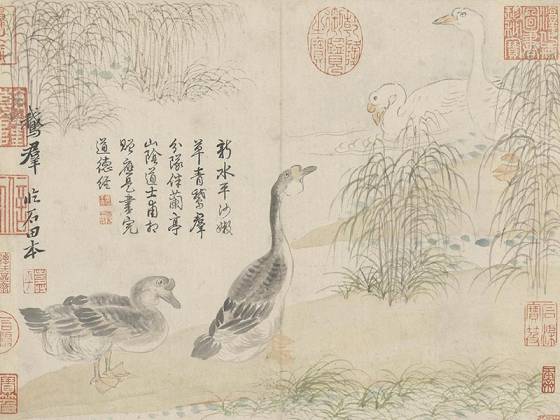 清恽寿平《鹅群图》页