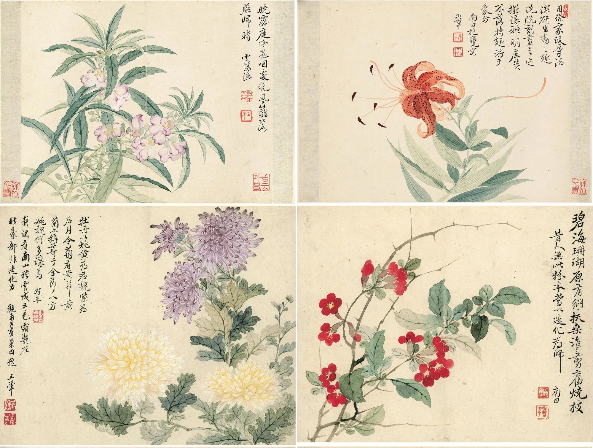 恽寿平花果《瓯香馆写生册》_01