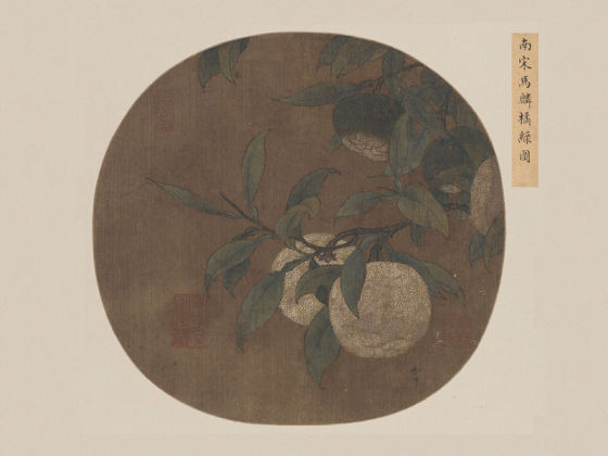 马麟《橘绿图》团扇页