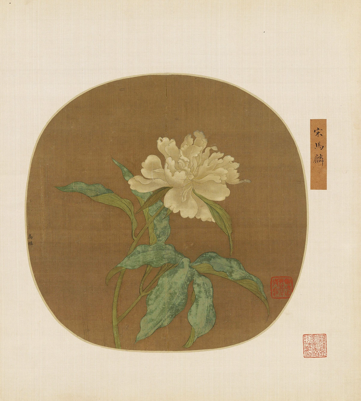 传马麟花卉画《白牡丹图》