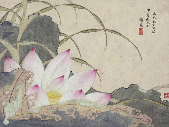 谢荪《荷花图》又名《红莲图》页