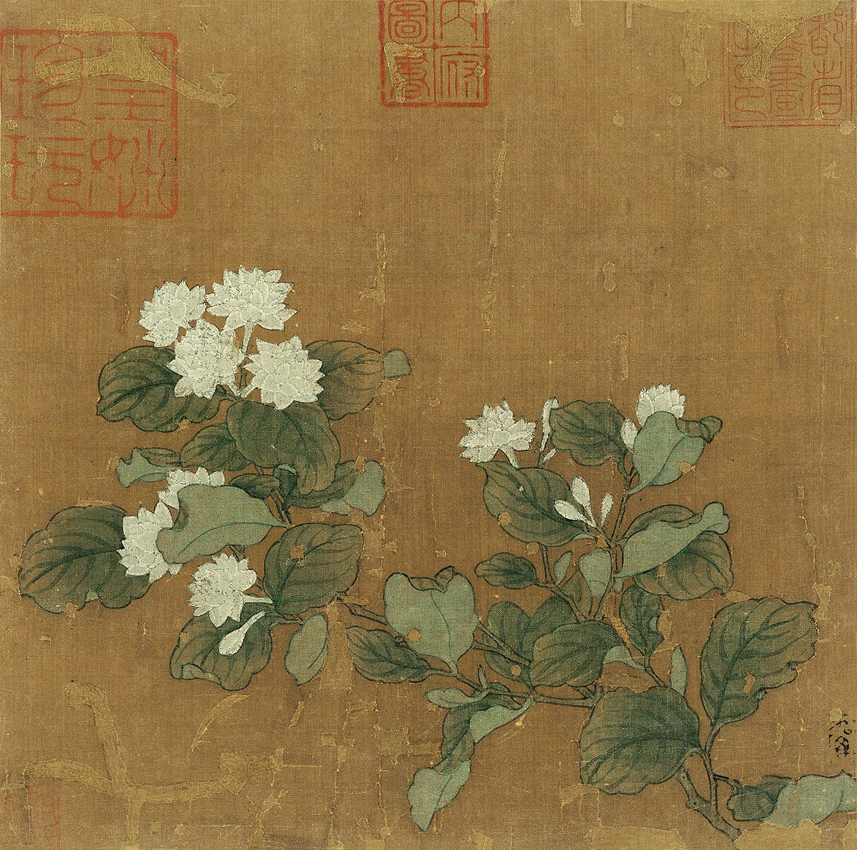 传南宋马麟花卉画《茉莉舒芳图》
