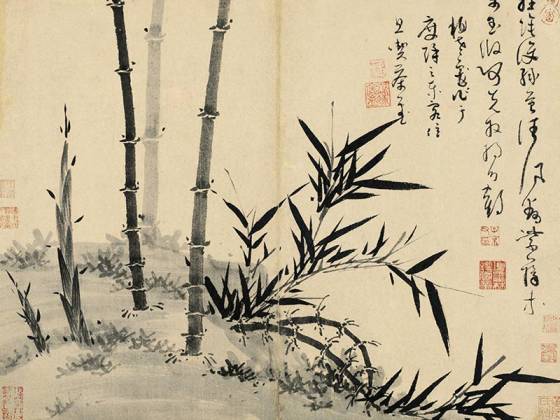 吴镇水墨竹《轻荫护绿苔图》页