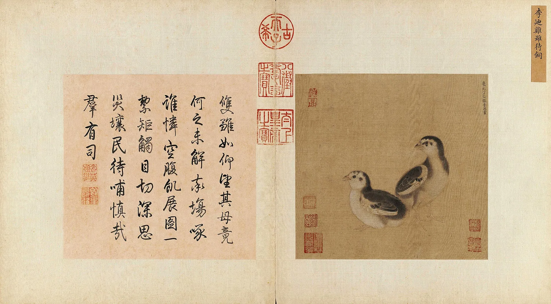 南宋李迪《鸡雏待饲图》页