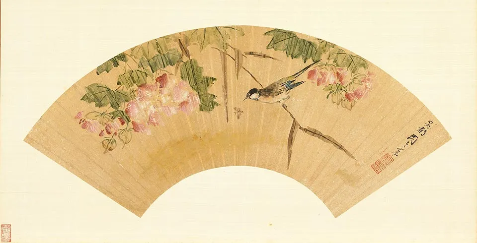 周之冕芙蓉山雀