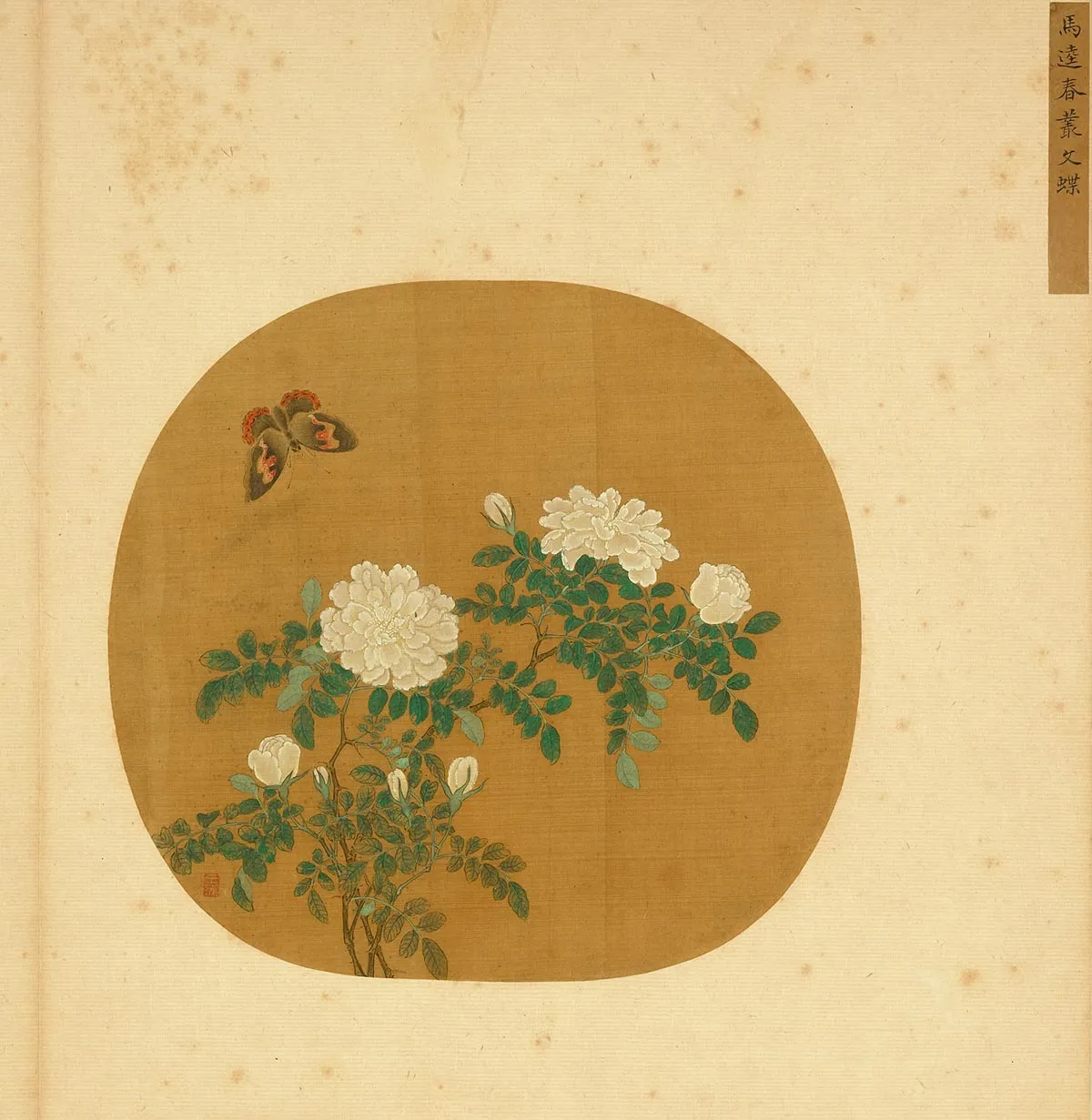 宋马逵花卉花《春丛文蝶图》团扇页