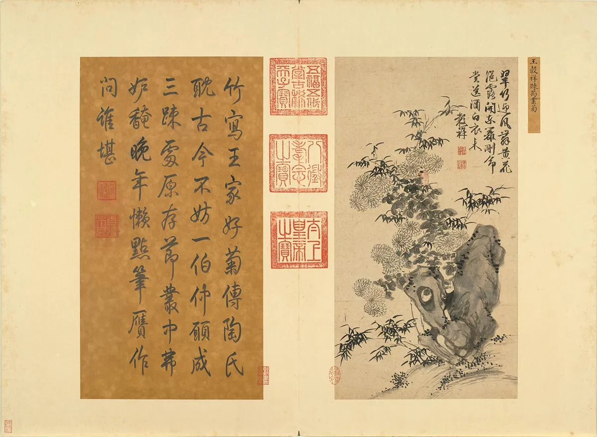 王谷祥水墨花卉《踈筠丛菊图》页