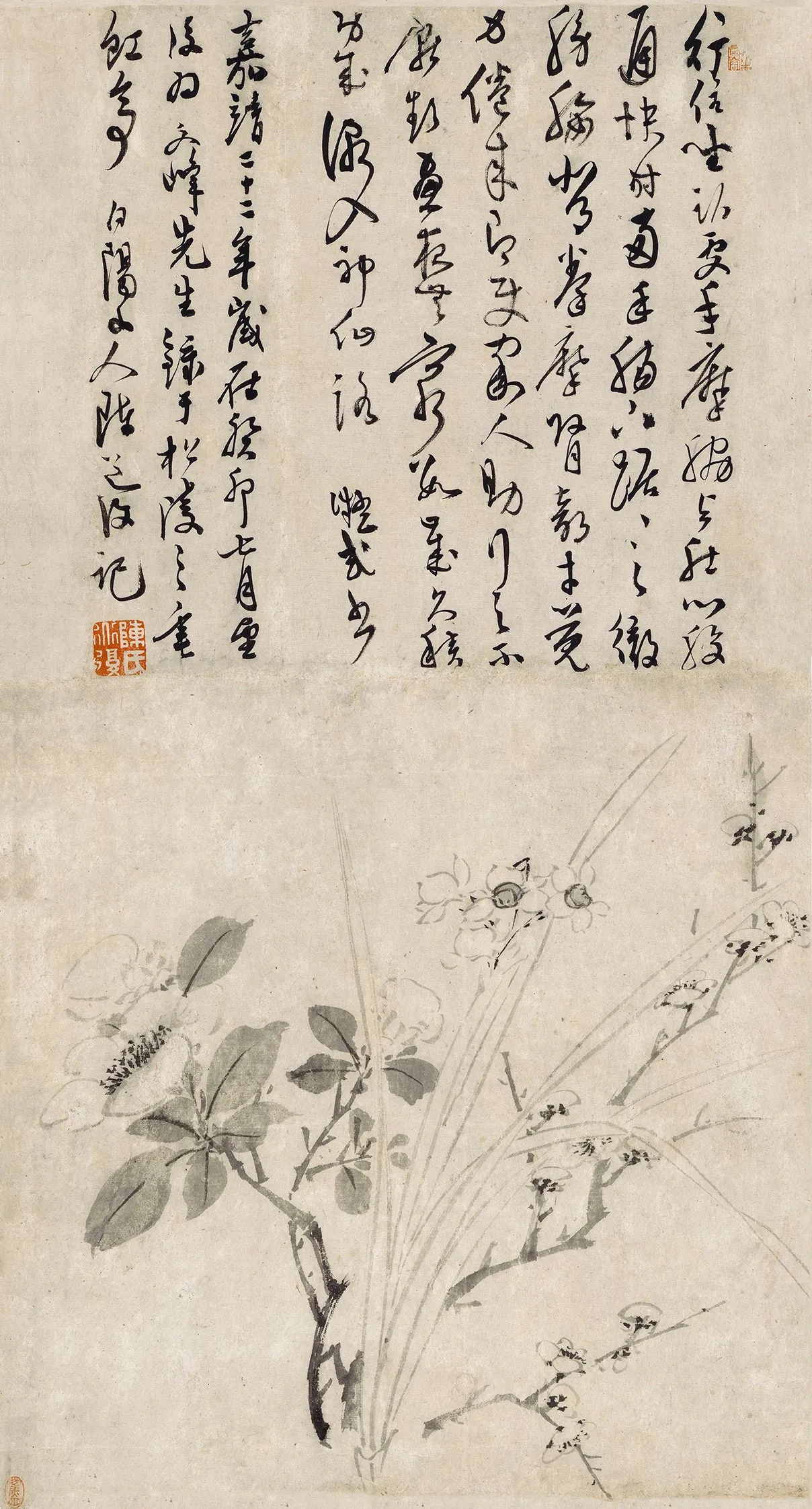 陈淳书画花卉轴
