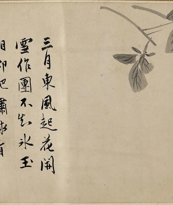 陈淳水墨花卉卷_22