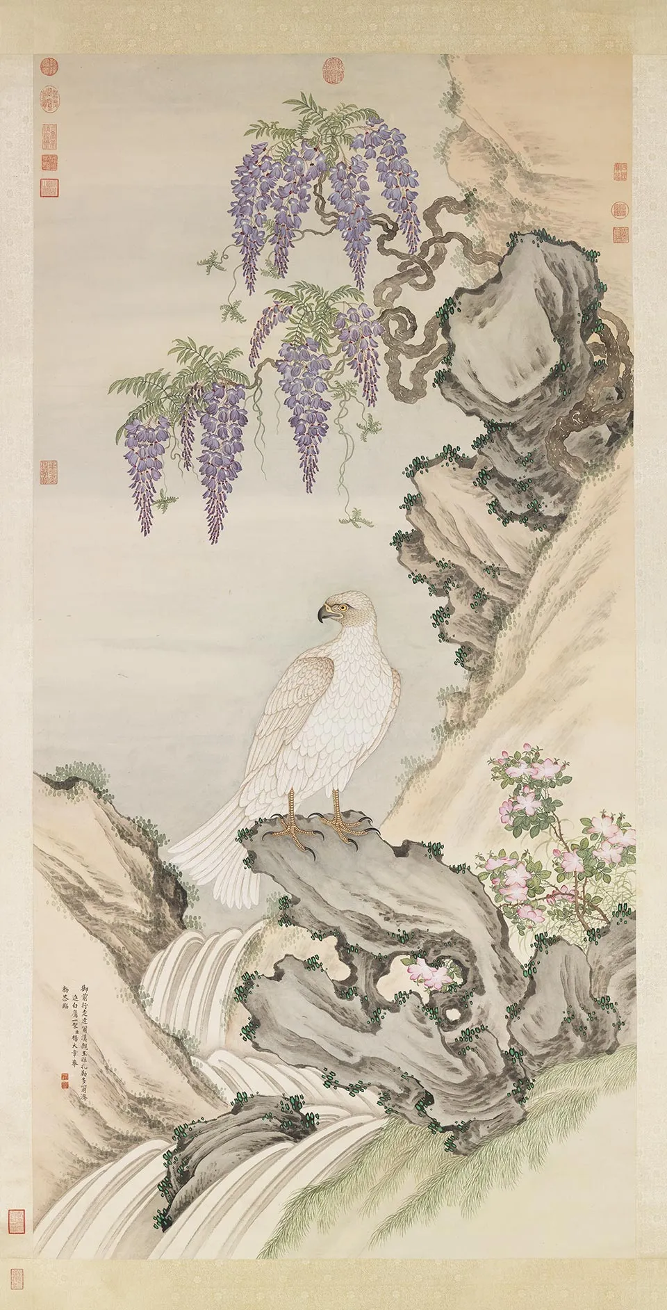 杨大章花鸟画《紫藤白鹰图》轴