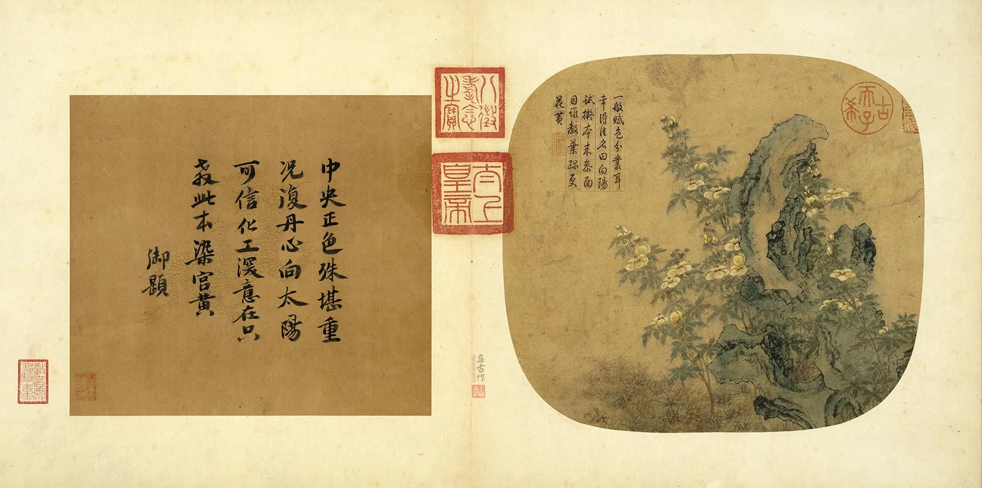传刁光胤《立石葵花下衬杂卉》页