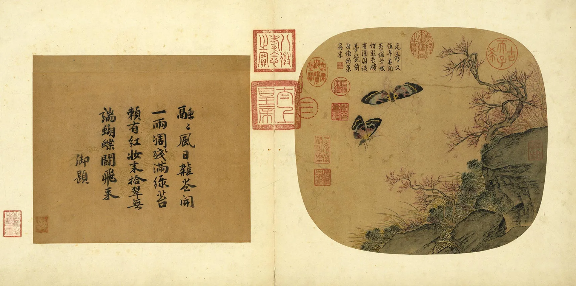 传刁光胤《桃花双蝶磐石带草》页