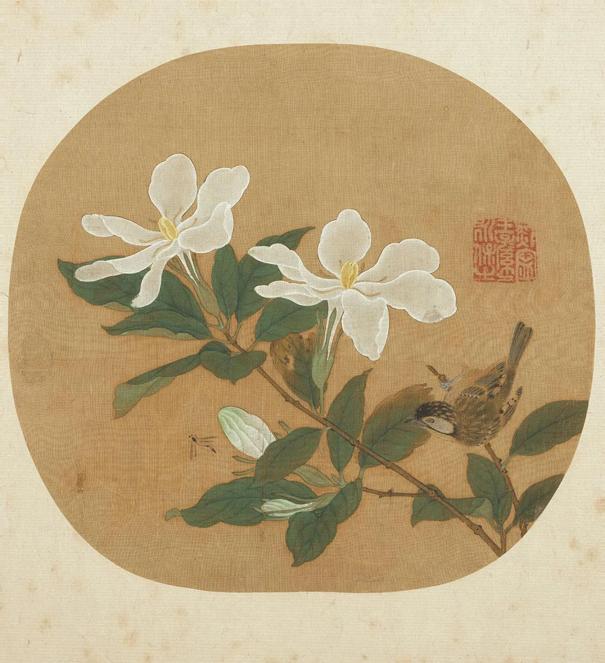 传徐熙花鸟画《写生栀子图》页