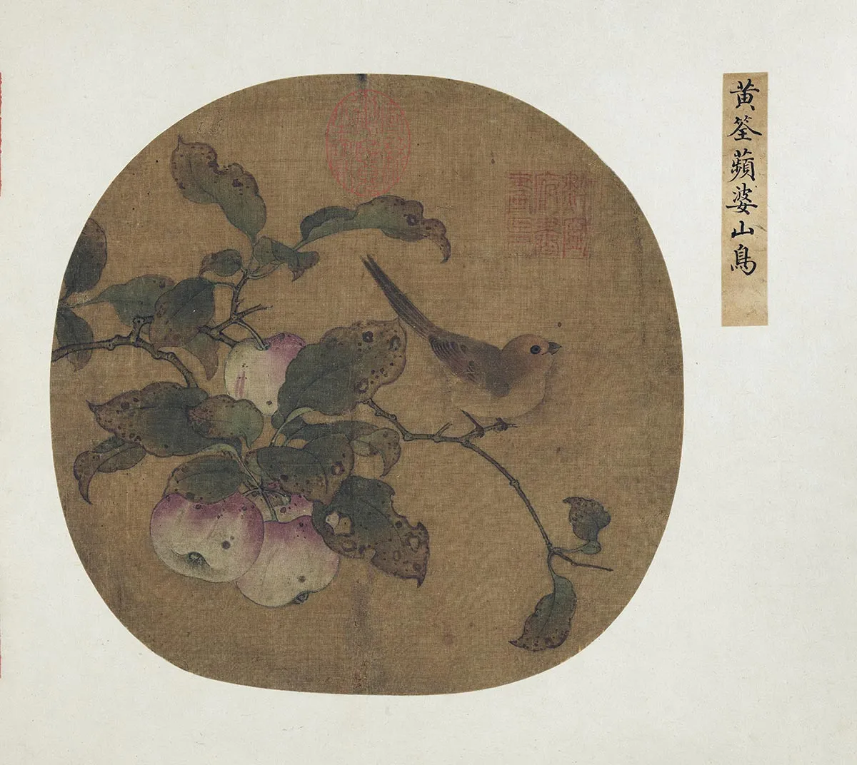 传黄筌《苹婆山鸟图》页