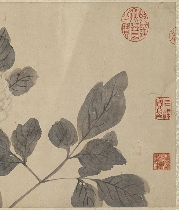 陈淳水墨花卉卷_26