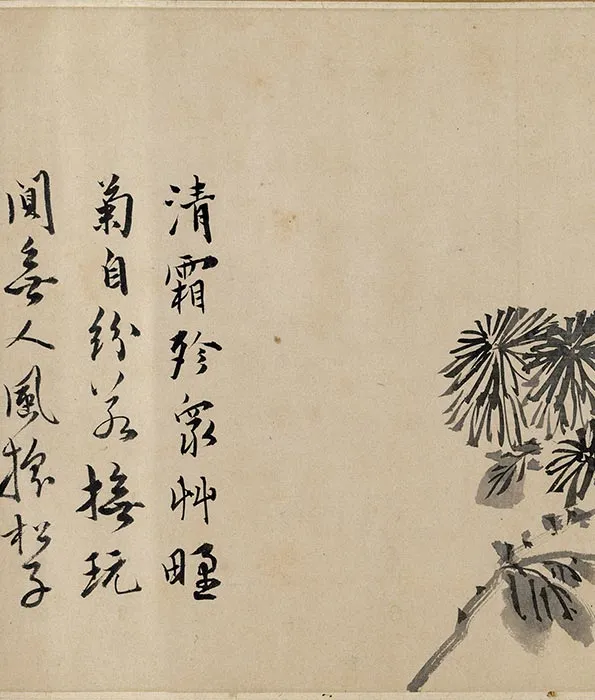 陈淳水墨花卉卷_11