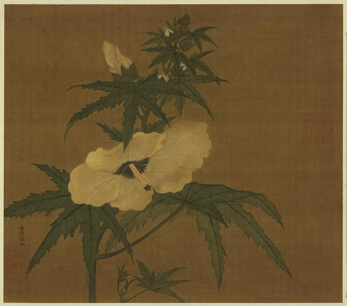 传徐熙花卉《秋葵图》页