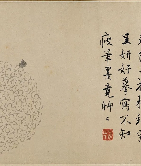 陈淳水墨花卉卷_24