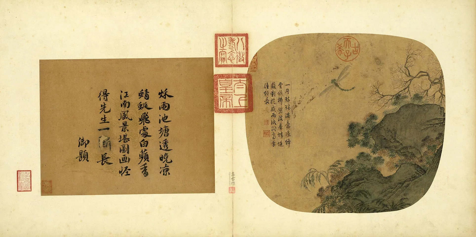 传刁光胤《秋塘蘋蓼照影蜻蜓》页