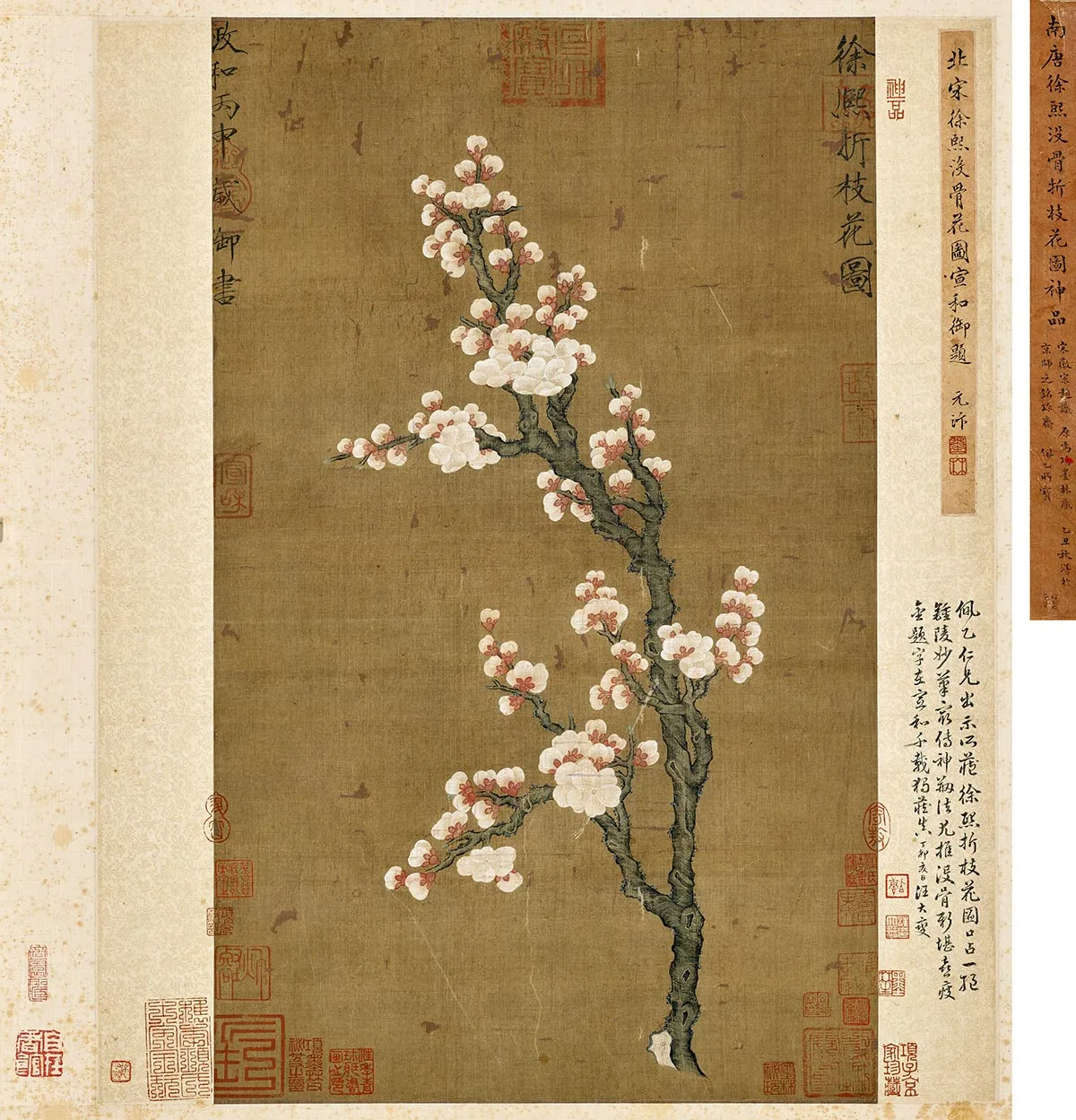 传五代南唐徐熙《没骨折枝花图》轴