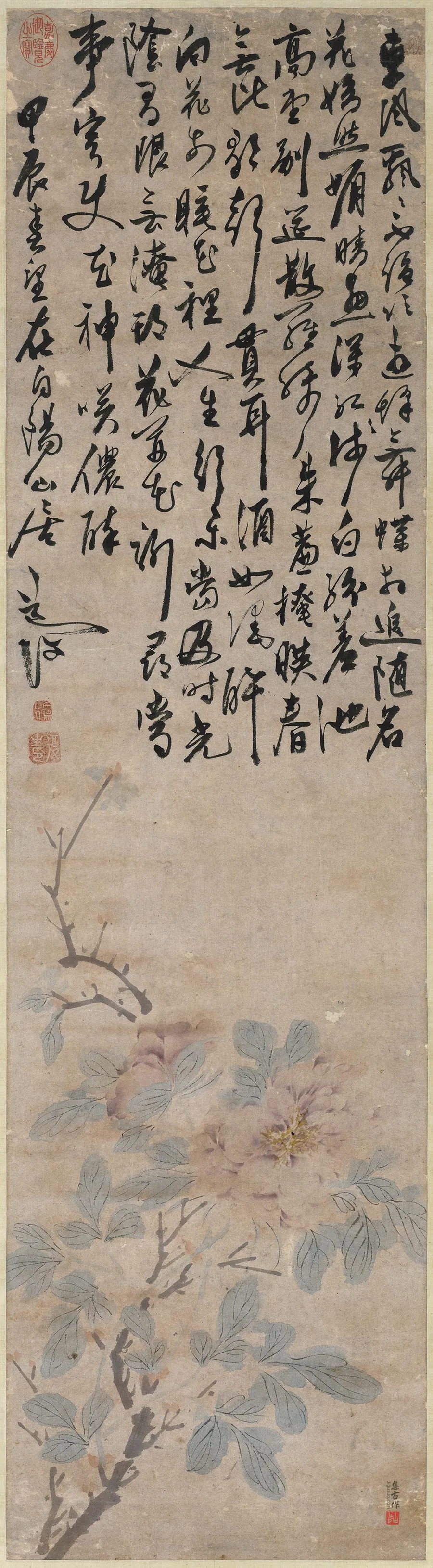 陈淳书画合璧《牡丹图》轴