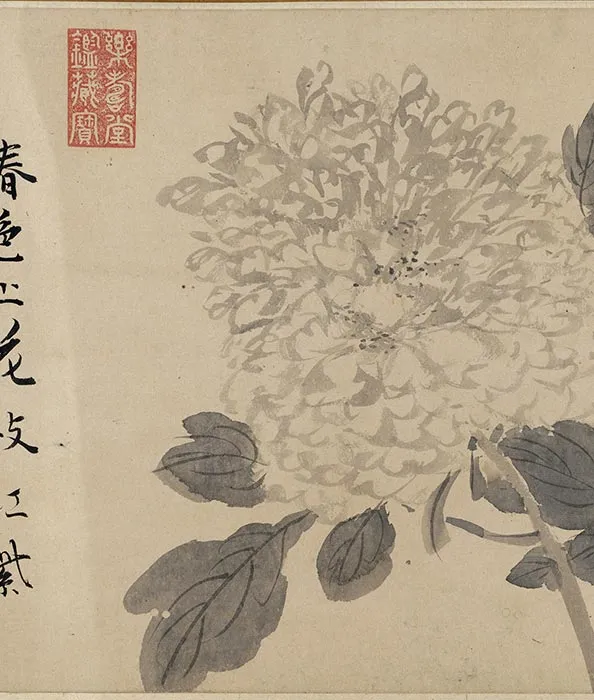 陈淳水墨花卉卷_25