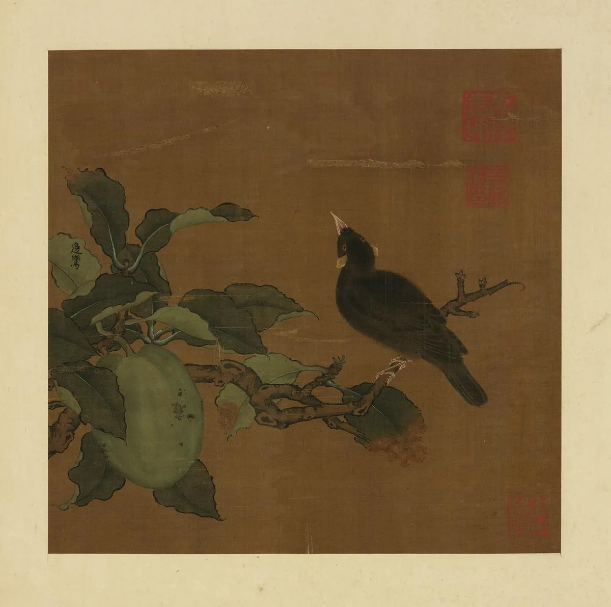 传边鸾《秋实山禽图》页
