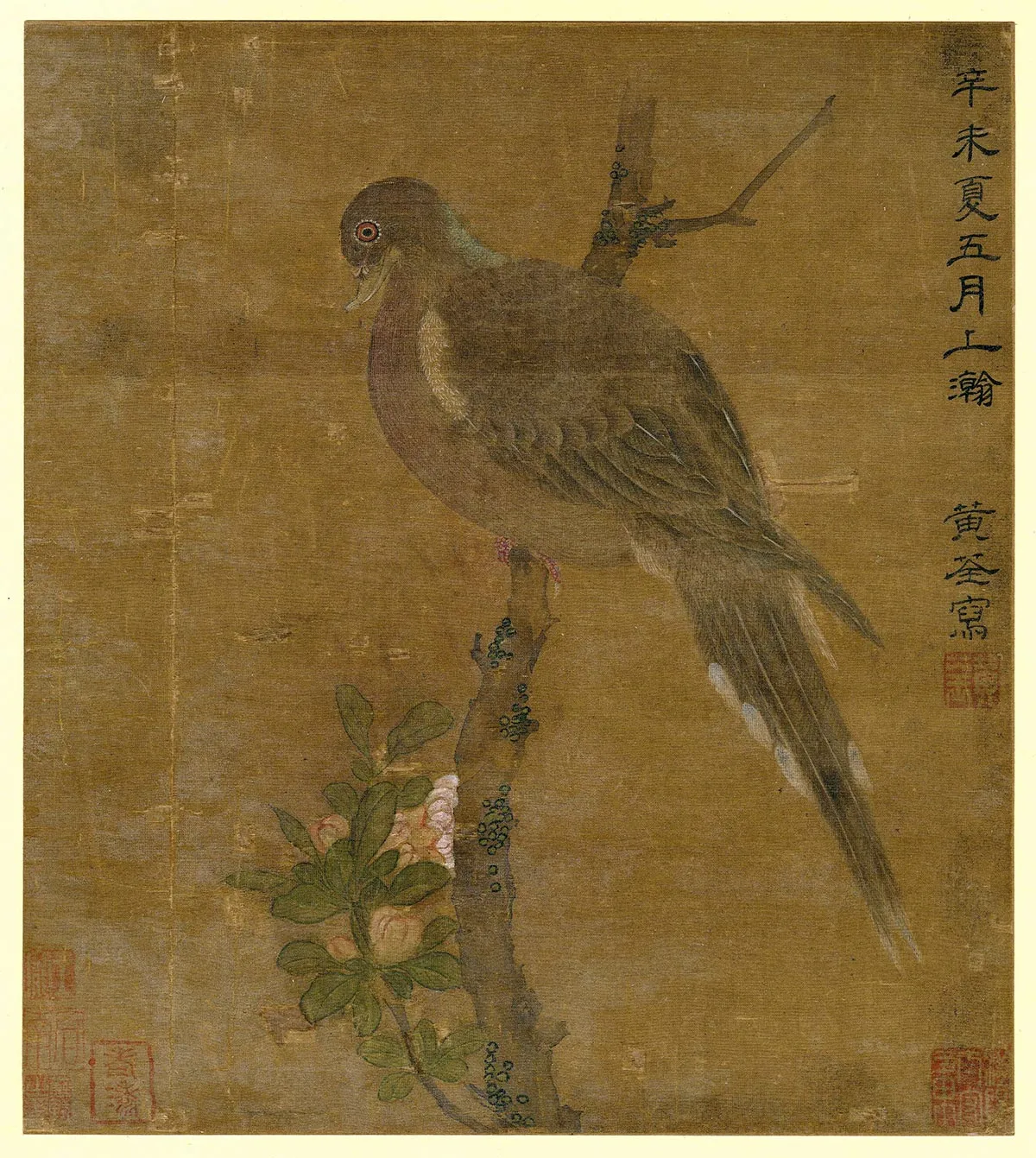 传黄筌花鸟画《斑鸠图》轴