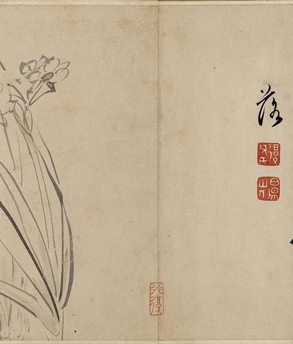 陈淳水墨花卉卷_10
