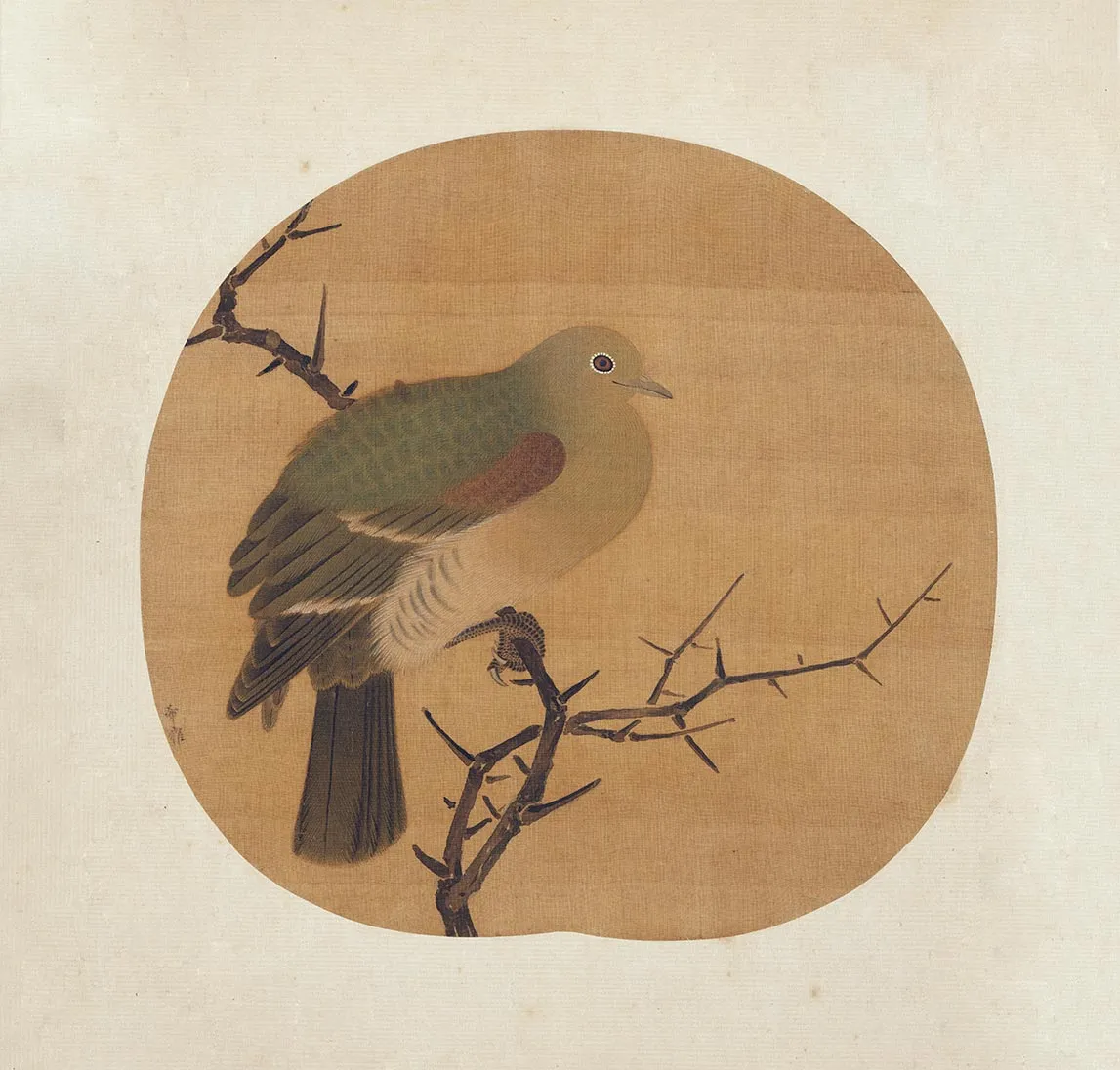传五代唐希雅《古木錦鳩图》页