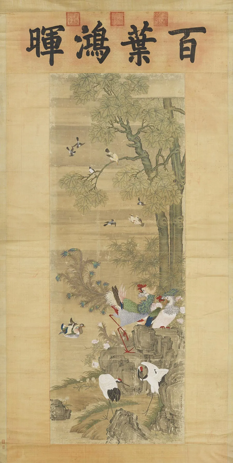 杨大章花鸟画《凤凰梧桐图》轴