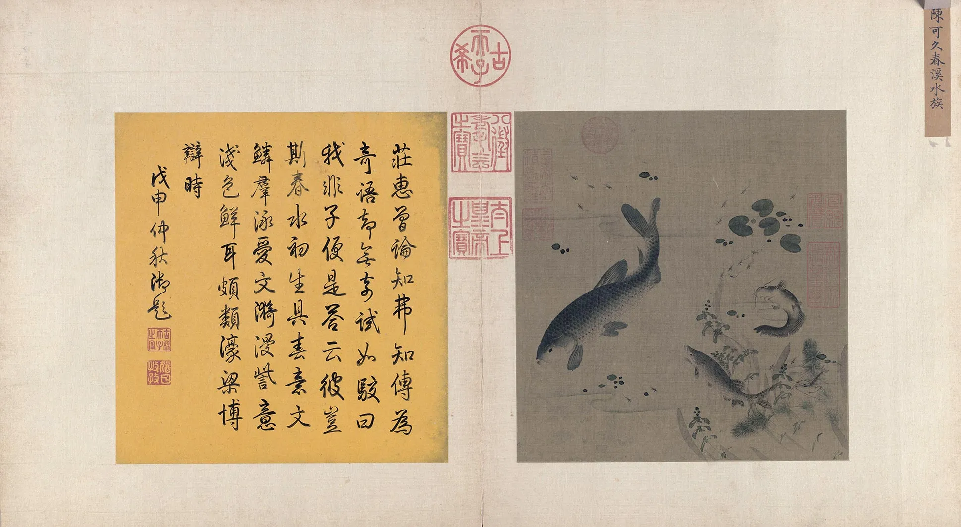 陈可久《春溪水族图》页