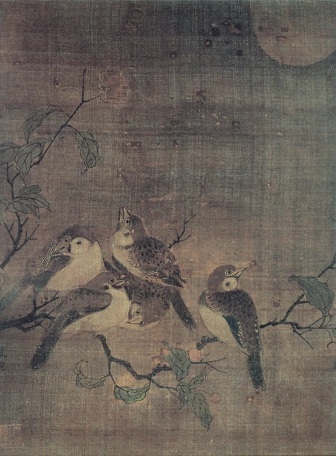 戴琓《月下五雀图》页