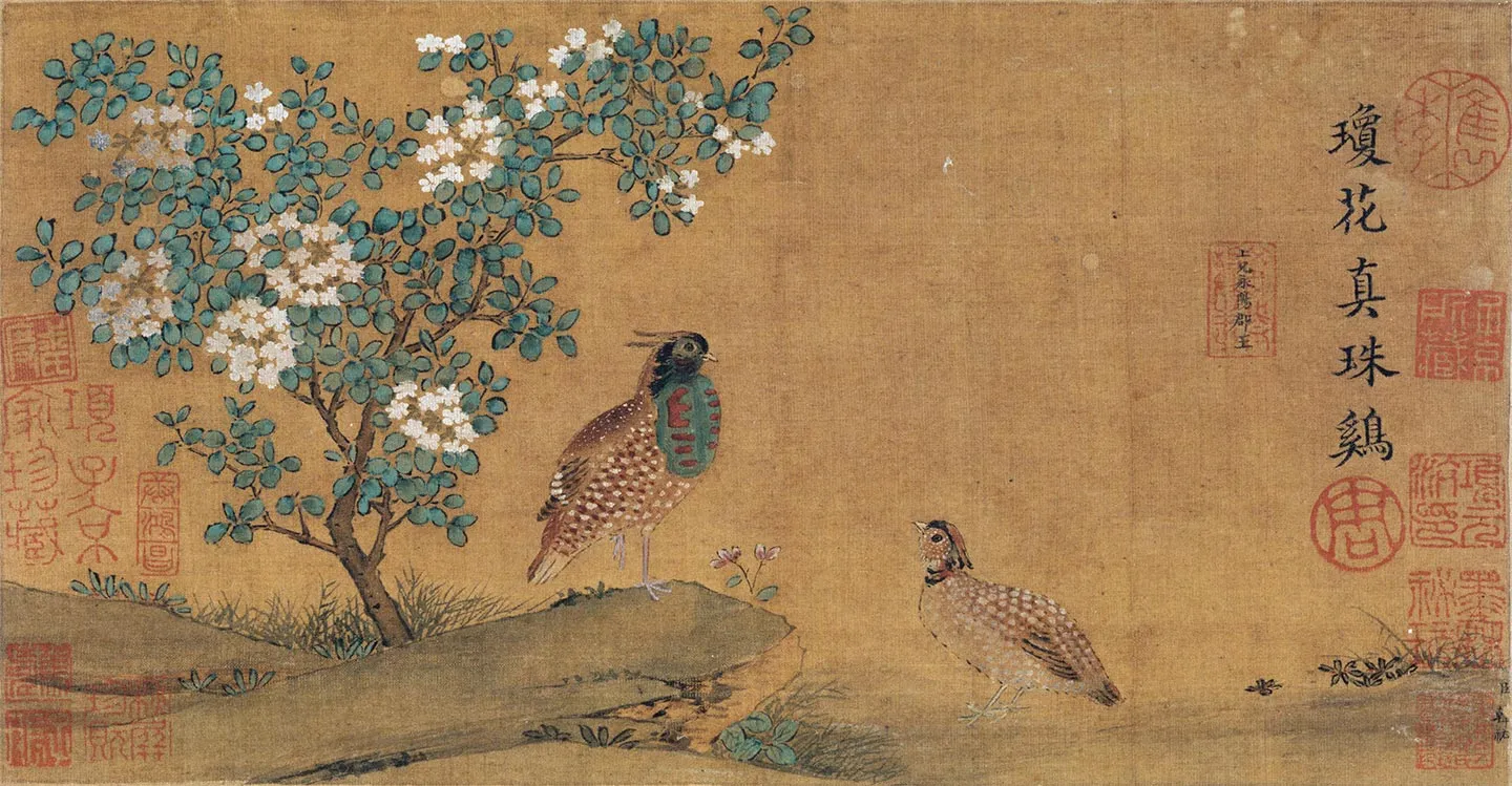 韩祐花鸟画《琼花真珠鸡图》页