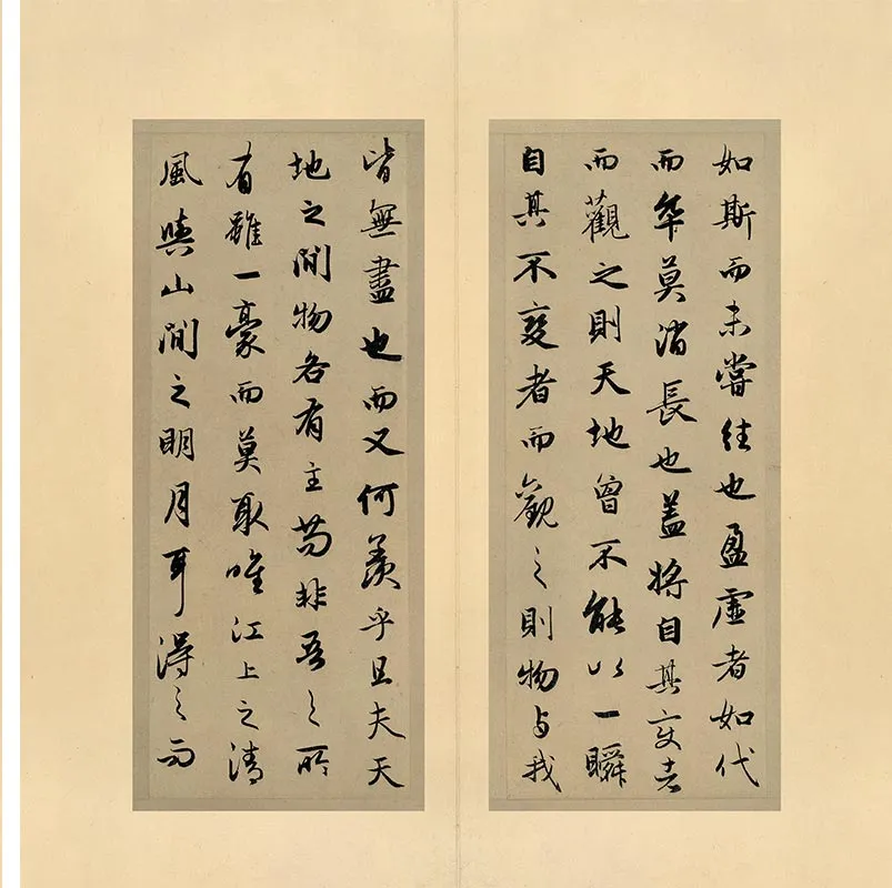 赵孟頫行书赤壁二赋册_11