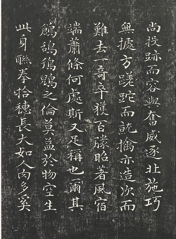 祝允明小楷书法《书杜甫雕赋并表》法帖墨拓_07