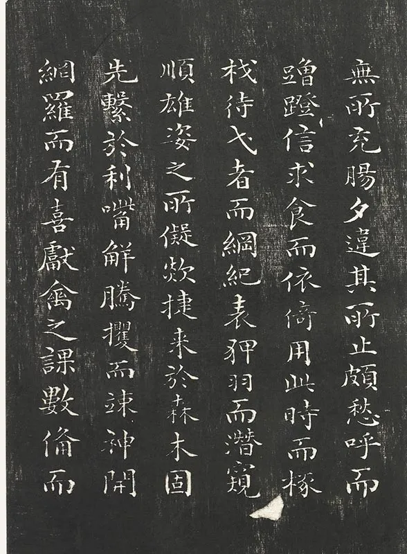 祝允明小楷书法《书杜甫雕赋并表》法帖墨拓_11