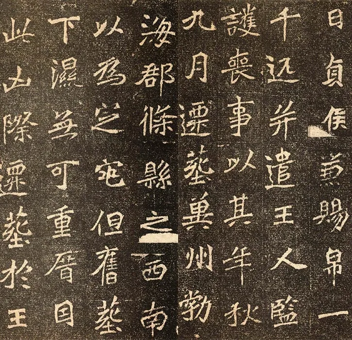 高道悦墓志 (5)
