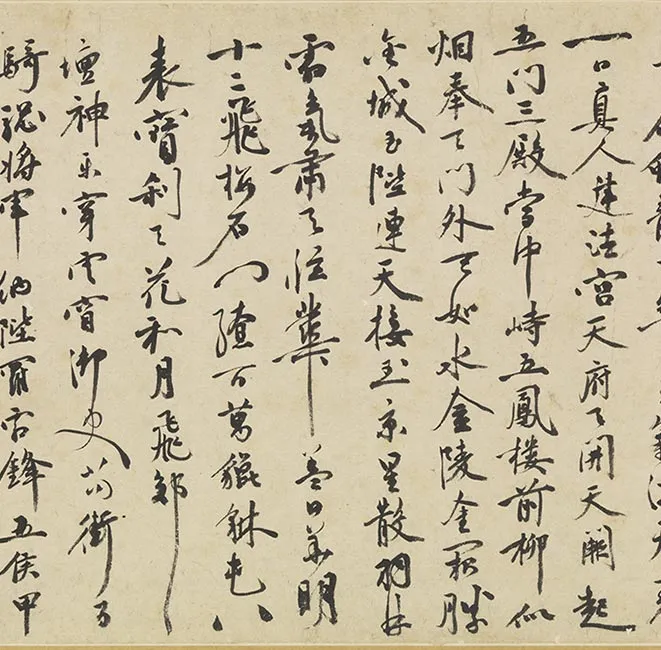 祝允明墨林藻海卷_19
