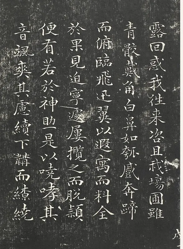 祝允明小楷书法《书杜甫雕赋并表》法帖墨拓_08