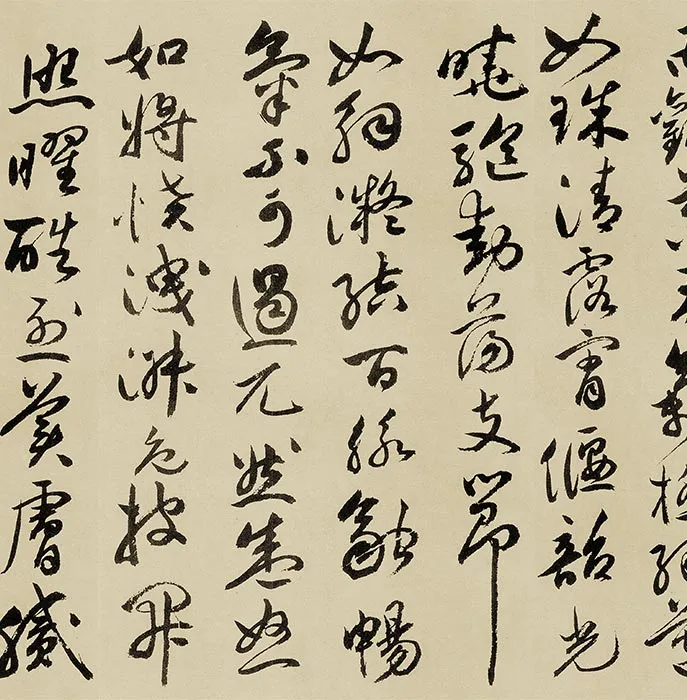祝允明行书《牡丹赋》卷_12