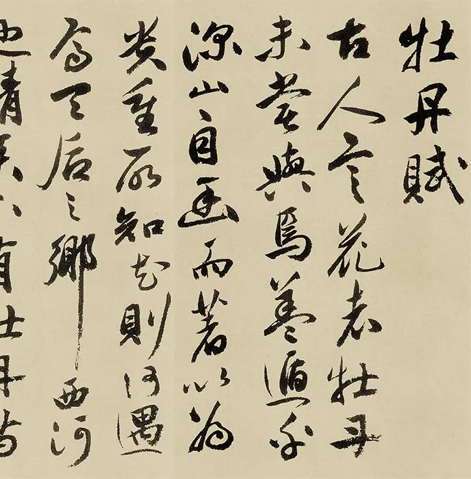 祝允明行书《牡丹赋》卷_18
