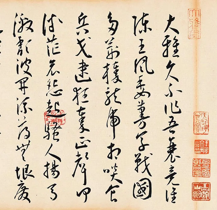 王宠草书《李白古风诗卷》_12