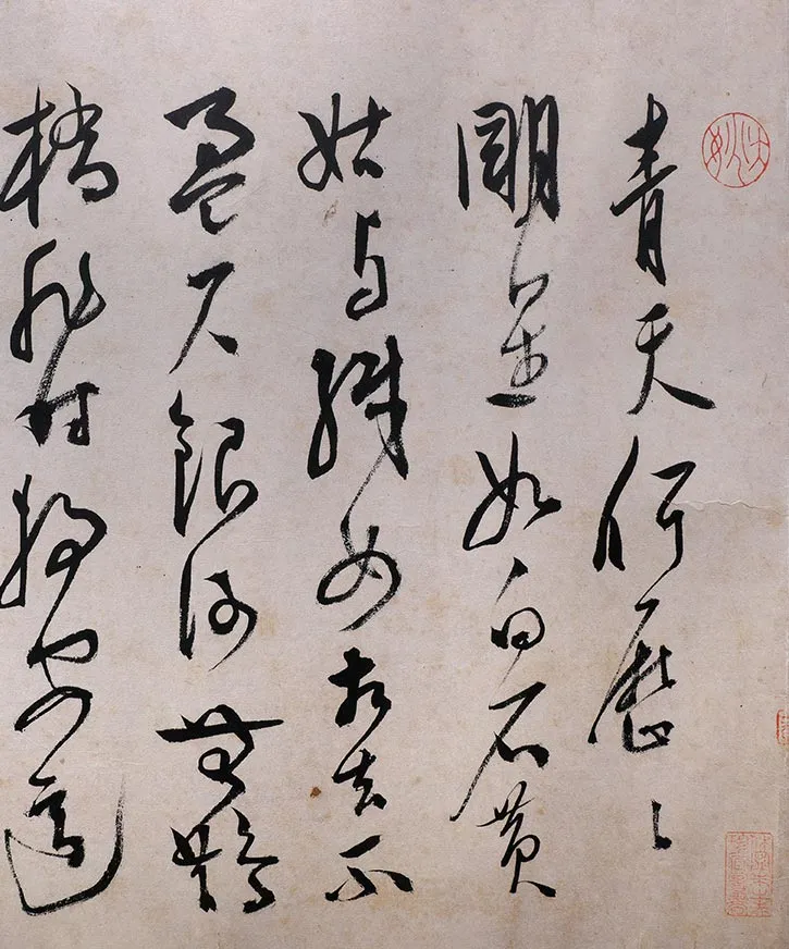 陈淳草书《李白诗五首》卷_15