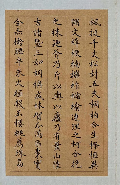 祝允明小楷书《会稽风俗赋》册页_17