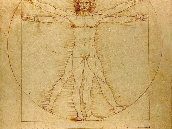 达·芬奇手稿《维特鲁威人》