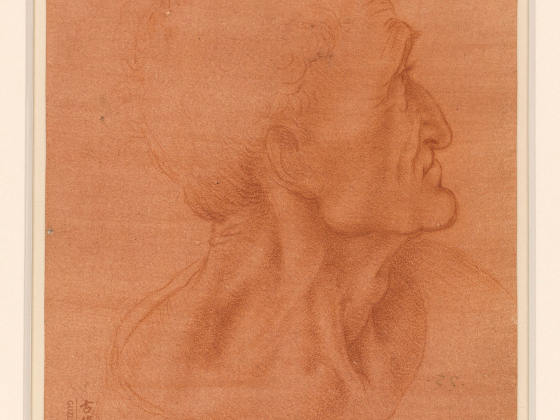 达·芬奇素描《犹大的头像》