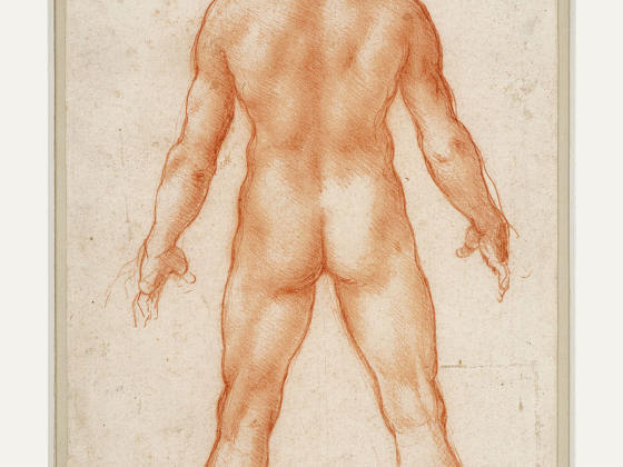 达芬奇素描画作品《男性人体的背部》