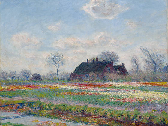 克劳德·莫奈油画风景《萨森海姆的郁金香花田》