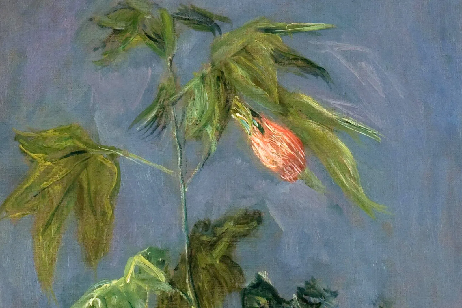 克劳德·莫奈静物《花瓶里的花》 - 油画高清图片下载- 集古作网